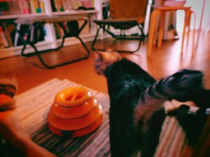 眠りをコントロールする、スワローズの1点差試合についての驚きの事実、新しいカメラ、20240609