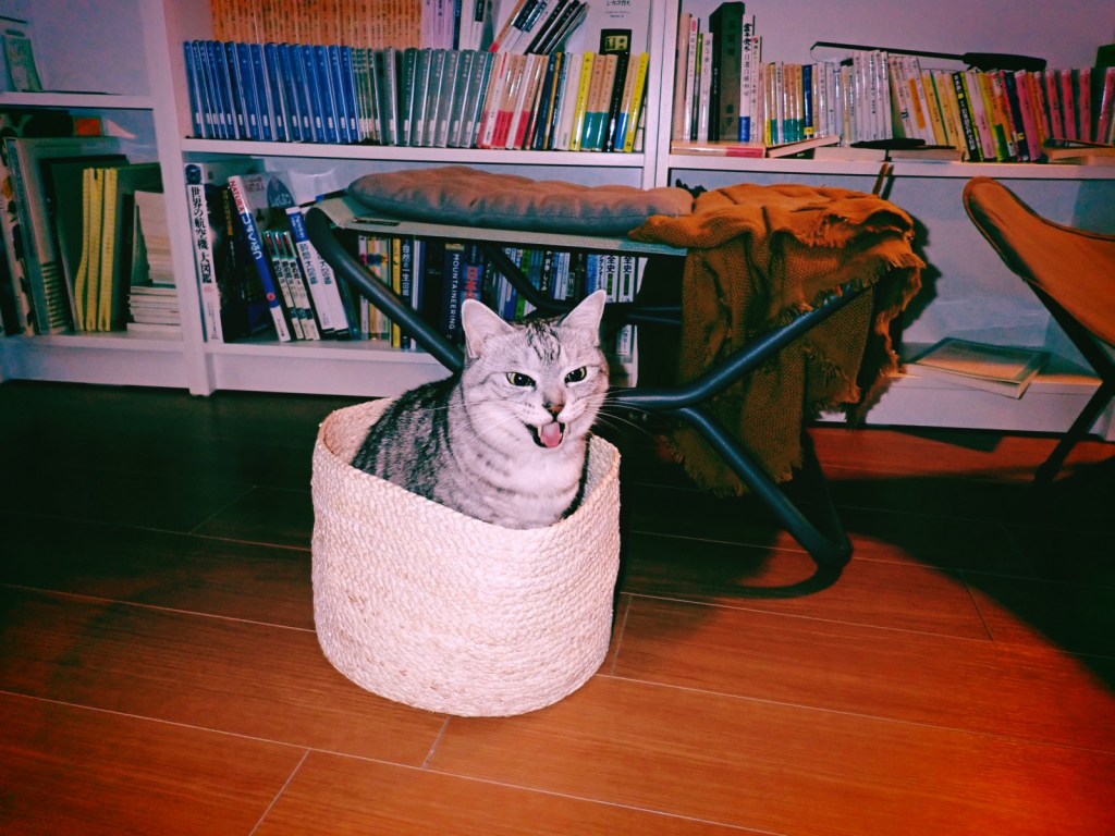 山田風太郎『甲賀忍法帖』を読んで、20240621