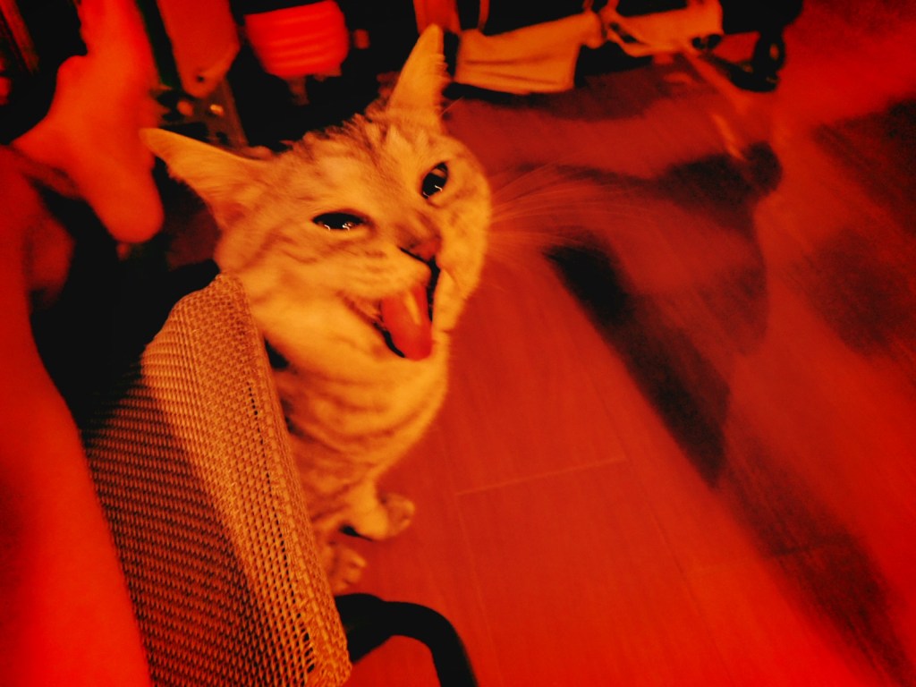 デレク・アンド・ザ・ドミノスと月曜日は、20240624