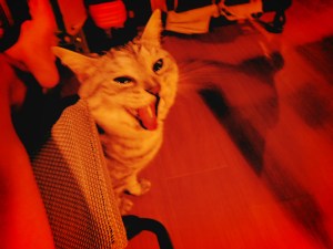 デレク・アンド・ザ・ドミノスと月曜日は、20240624