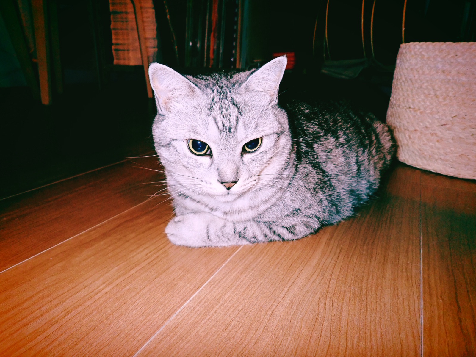 一人街宣はすごい、20240626