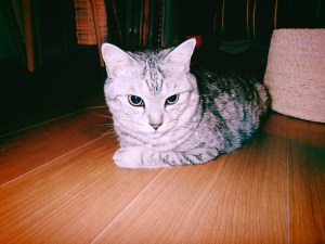 一人街宣はすごい、20240626