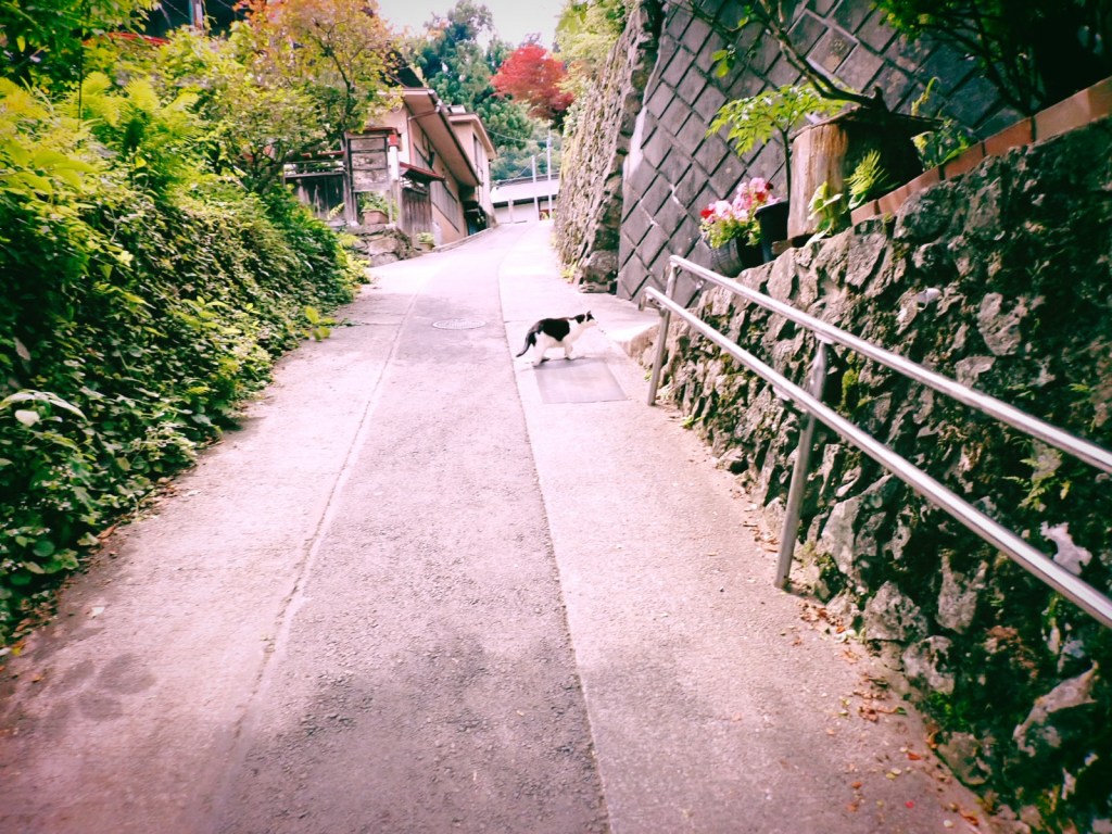 奥多摩縦走トレイル・ラン、20240627