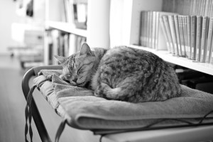 仕事に没頭し投句を忘れる、20240531