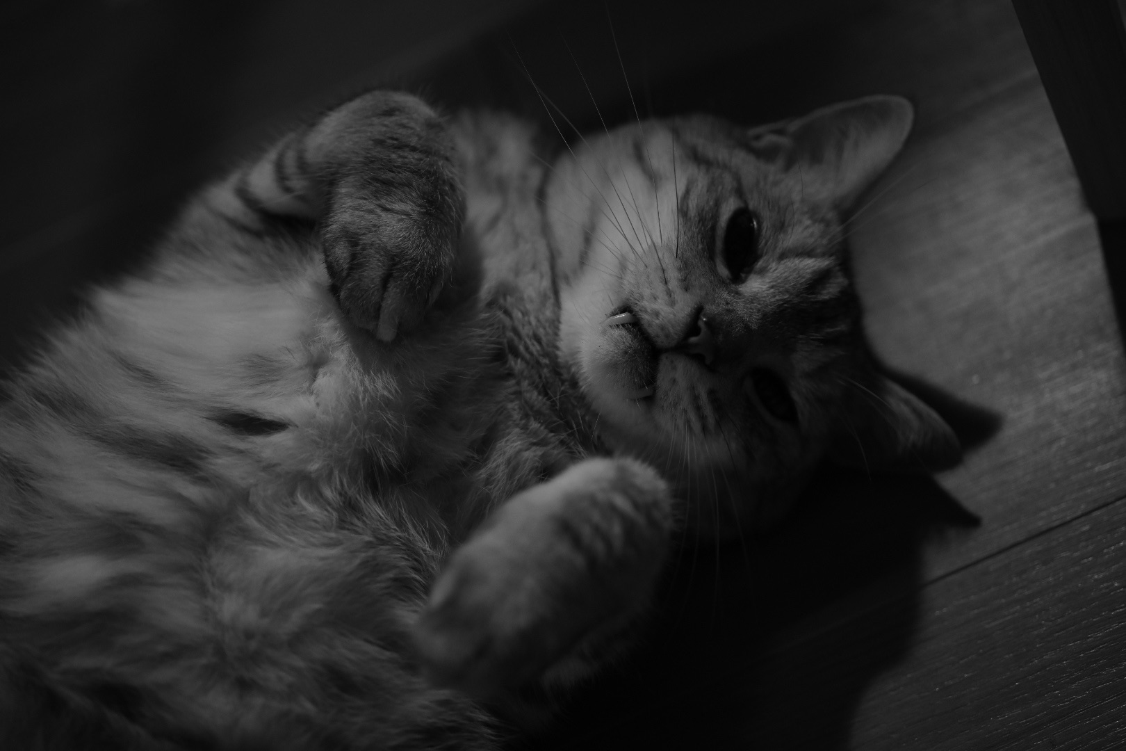 ホームページの刷新作業、20240601