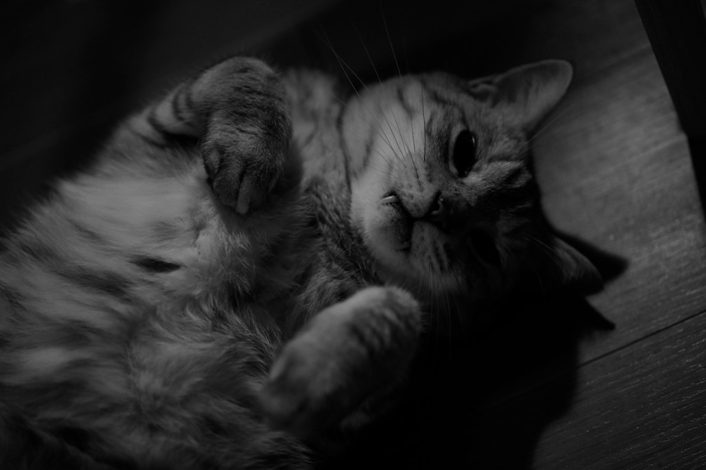 ホームページの刷新作業、20240601