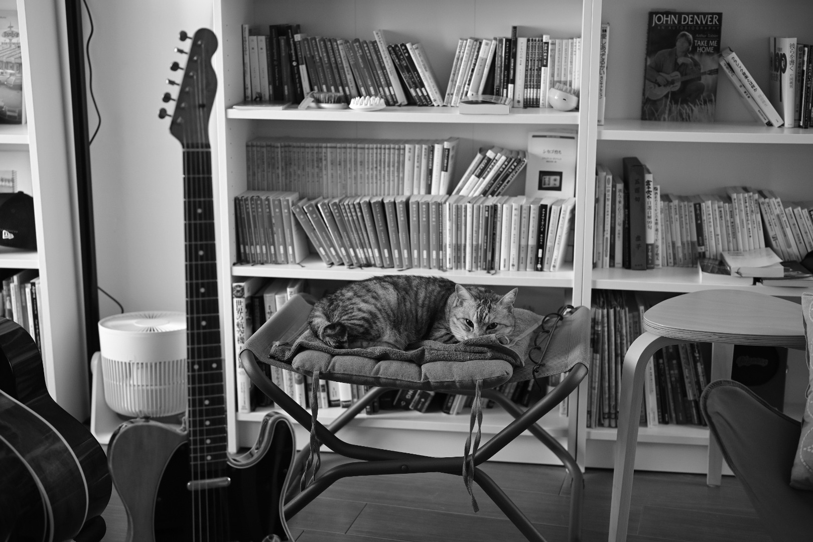 ホームページ刷新作業終わる、久しぶりの連勝、20240604