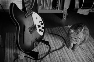 土曜日の洗濯と野球とリッケンバッカー、20240608