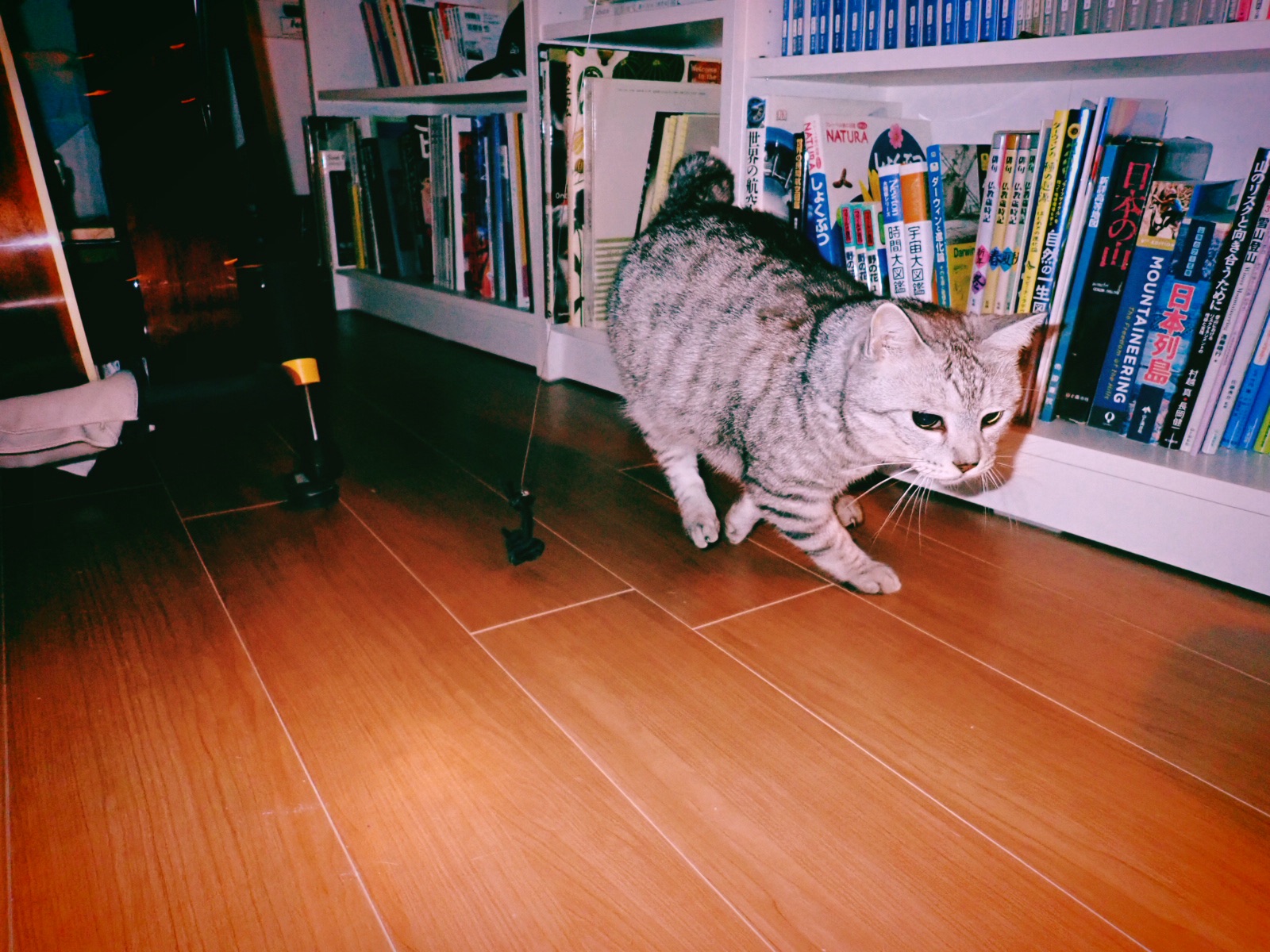 都知事選投開票、民主主義を求め続ける、20240707