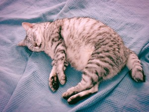 よく寝てよく本を読むこと、20240708