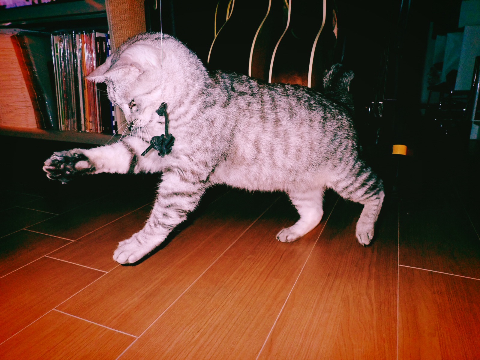 腹立ち紛れに本を読み漁りたいムード、『女帝　小池百合子』、野球は守りから、20240709