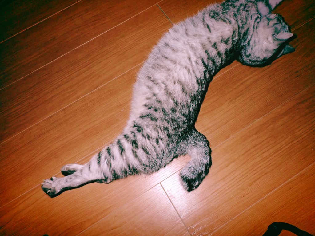 ハワイを思えば喉が鳴る、20240710