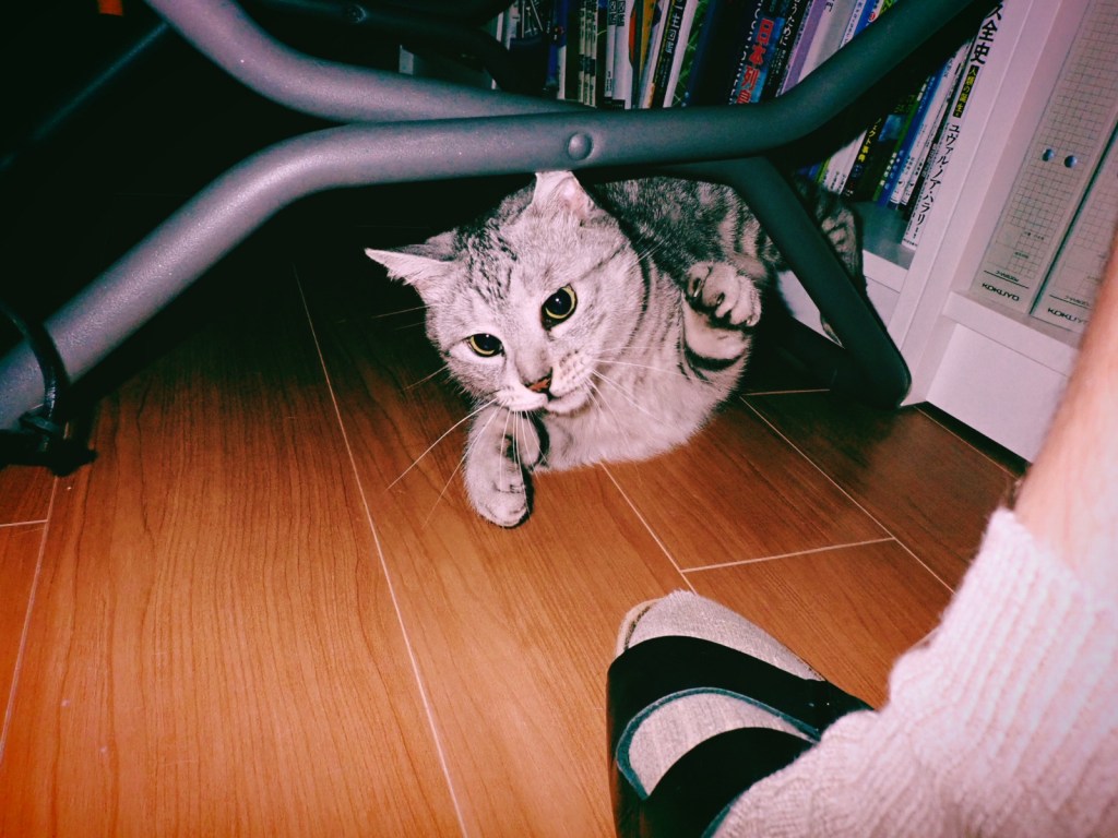 敗戦から立ち直る、『老人と海』、20240712