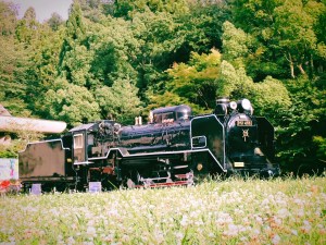 生田緑地ジョグ、20240719