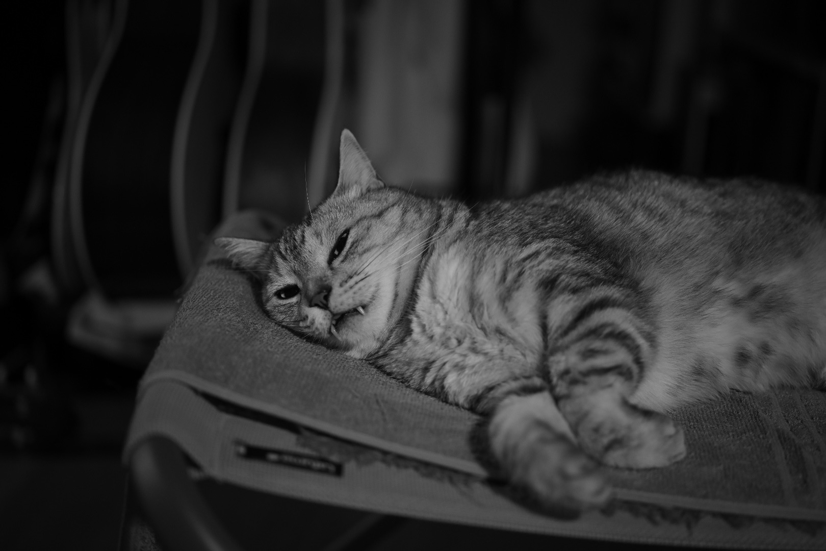 遠い記憶の大勝の夜、20240727