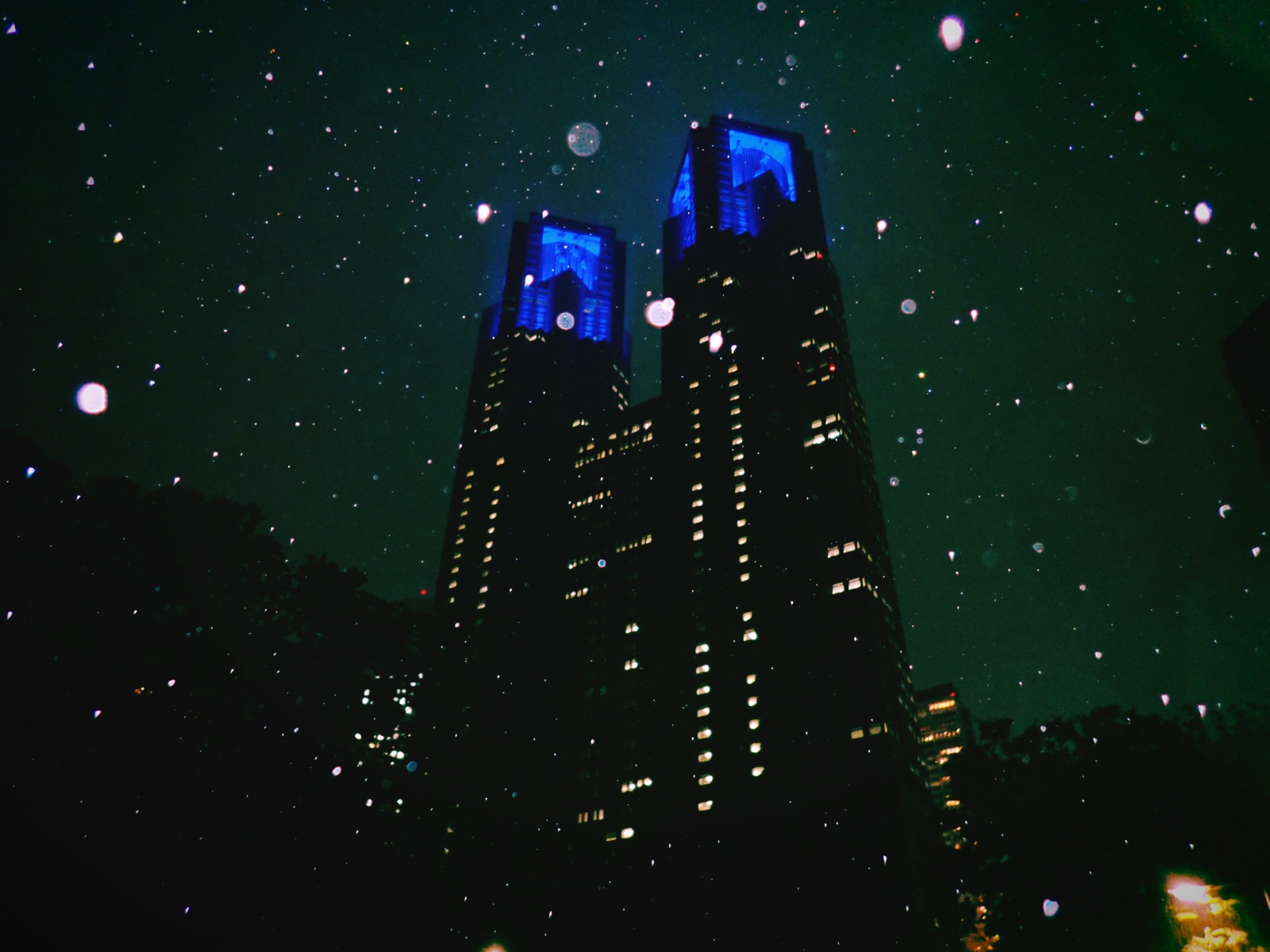 丹下散歩、大雨と都庁と新宿パークタワー、デタッチメント、フラフラ、20240731