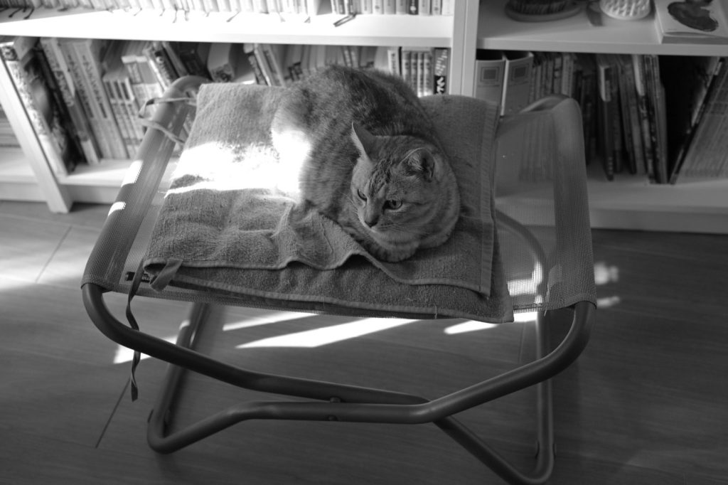 ハーフ自己ベスト、20250108