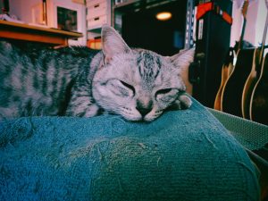 金曜の午後、週末の雰囲気、20240823