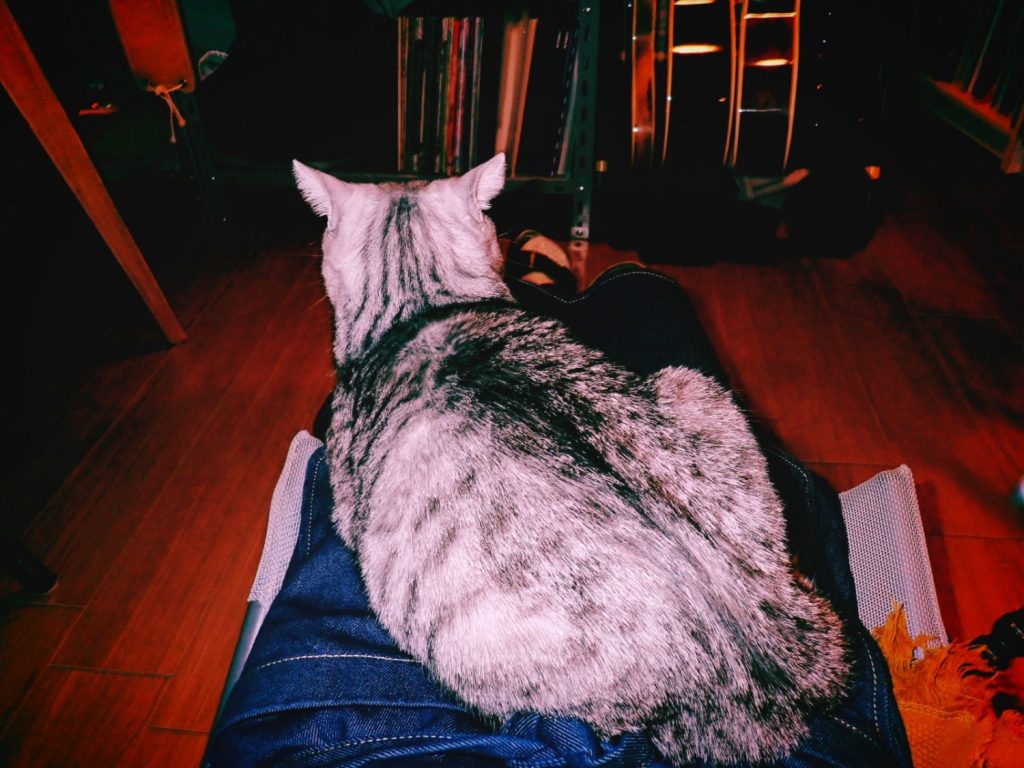 ヴィム・ヴェンダース『PERFECT DAYS』、20250207