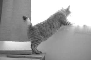 青木さんの母校でカントを学ぶ秋の夜、20240930