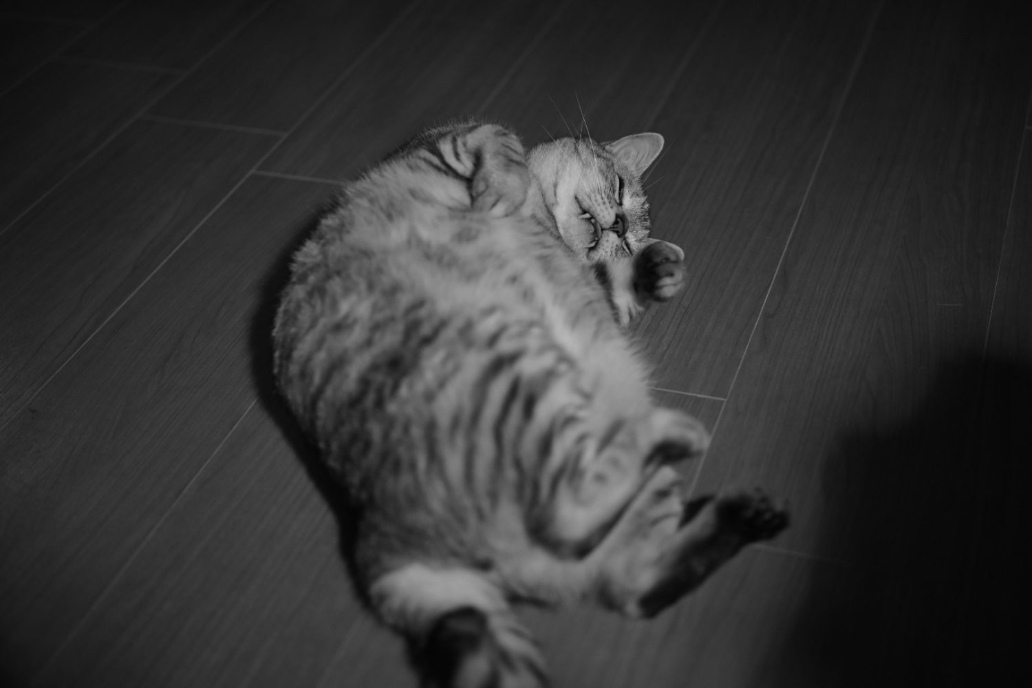 今日も仕事、監督代行の白昼夢、20240804