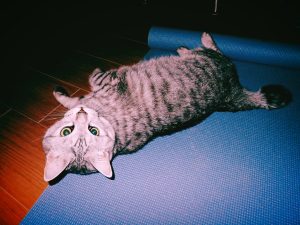 鈴木もぐらと峯田和伸、20250311