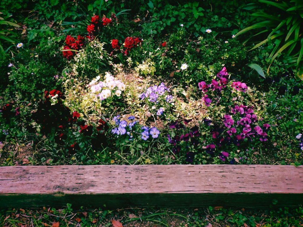 南青山、20250325