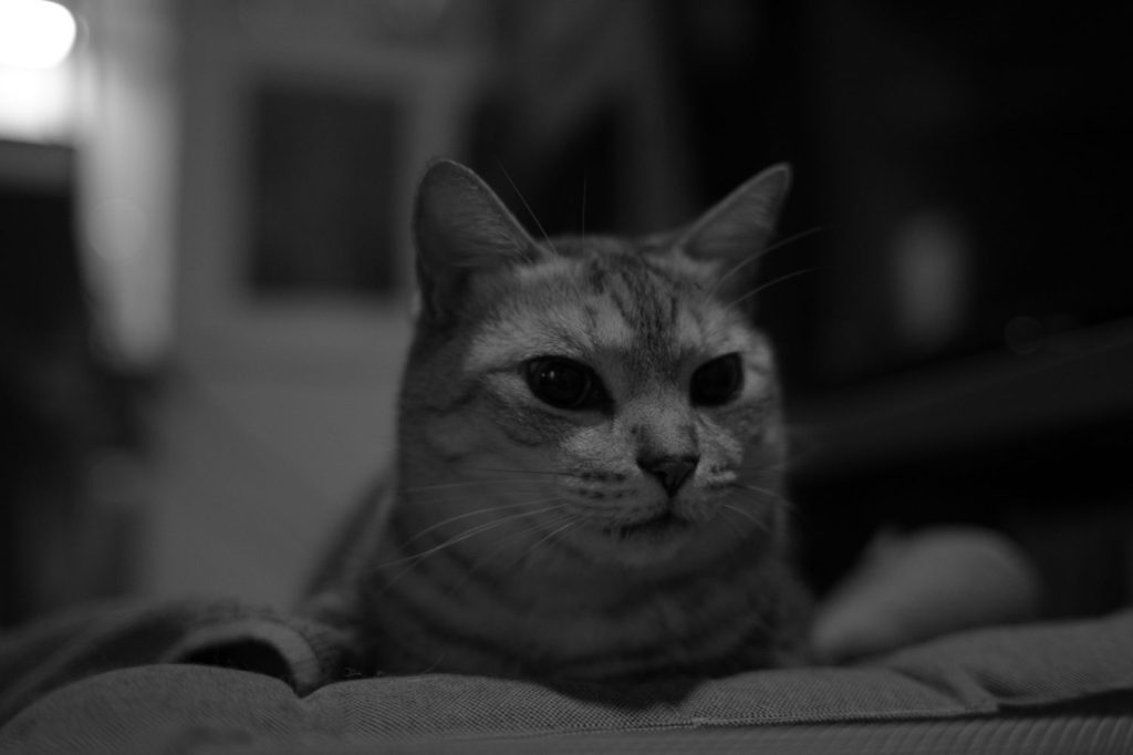 日曜日の仕事と休息、20241201