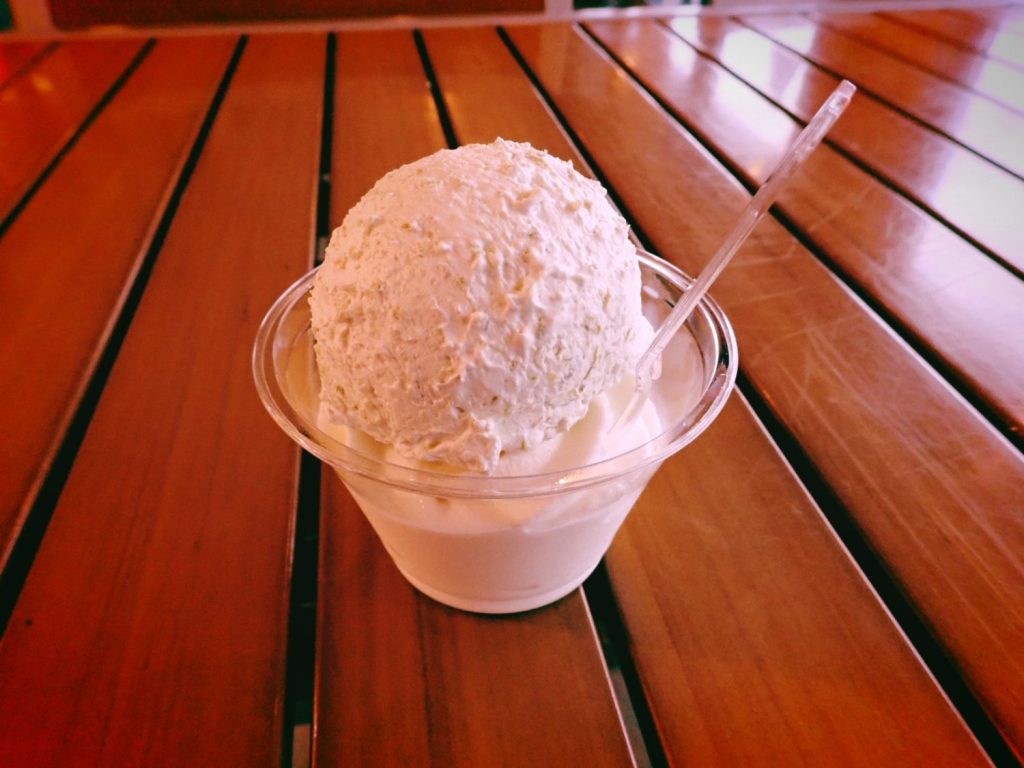 東北・みやぎ復興マラソンの前日、石巻へ、大川小学校と女川原発、20241102