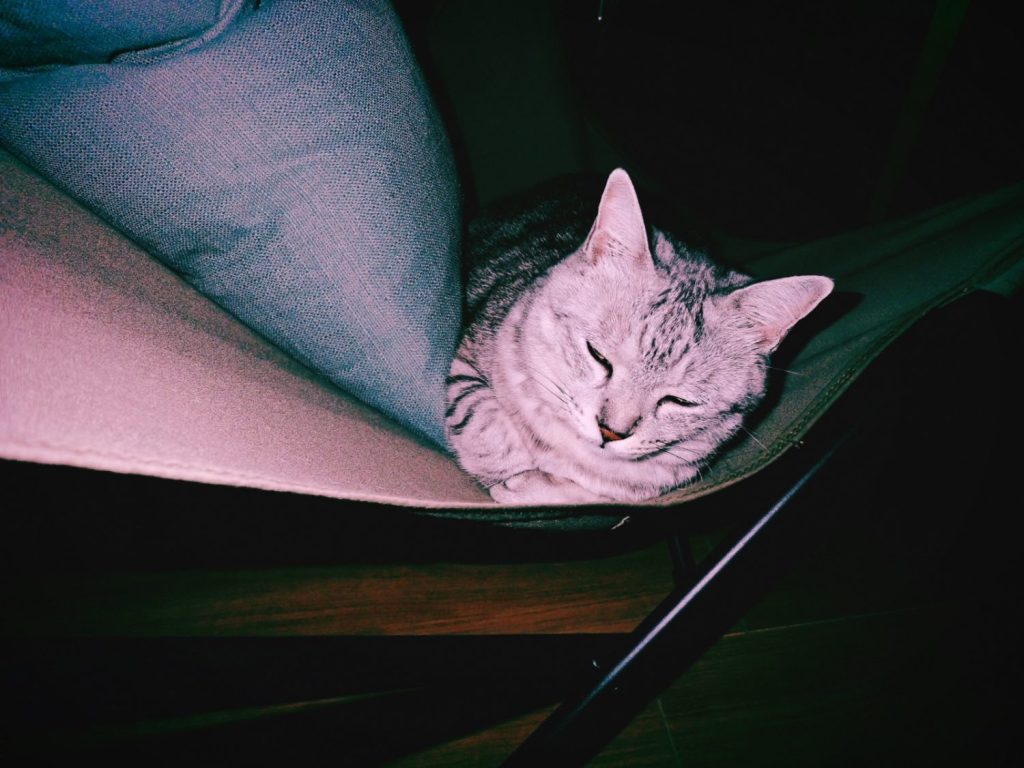 トレーニングを再開する、20241107