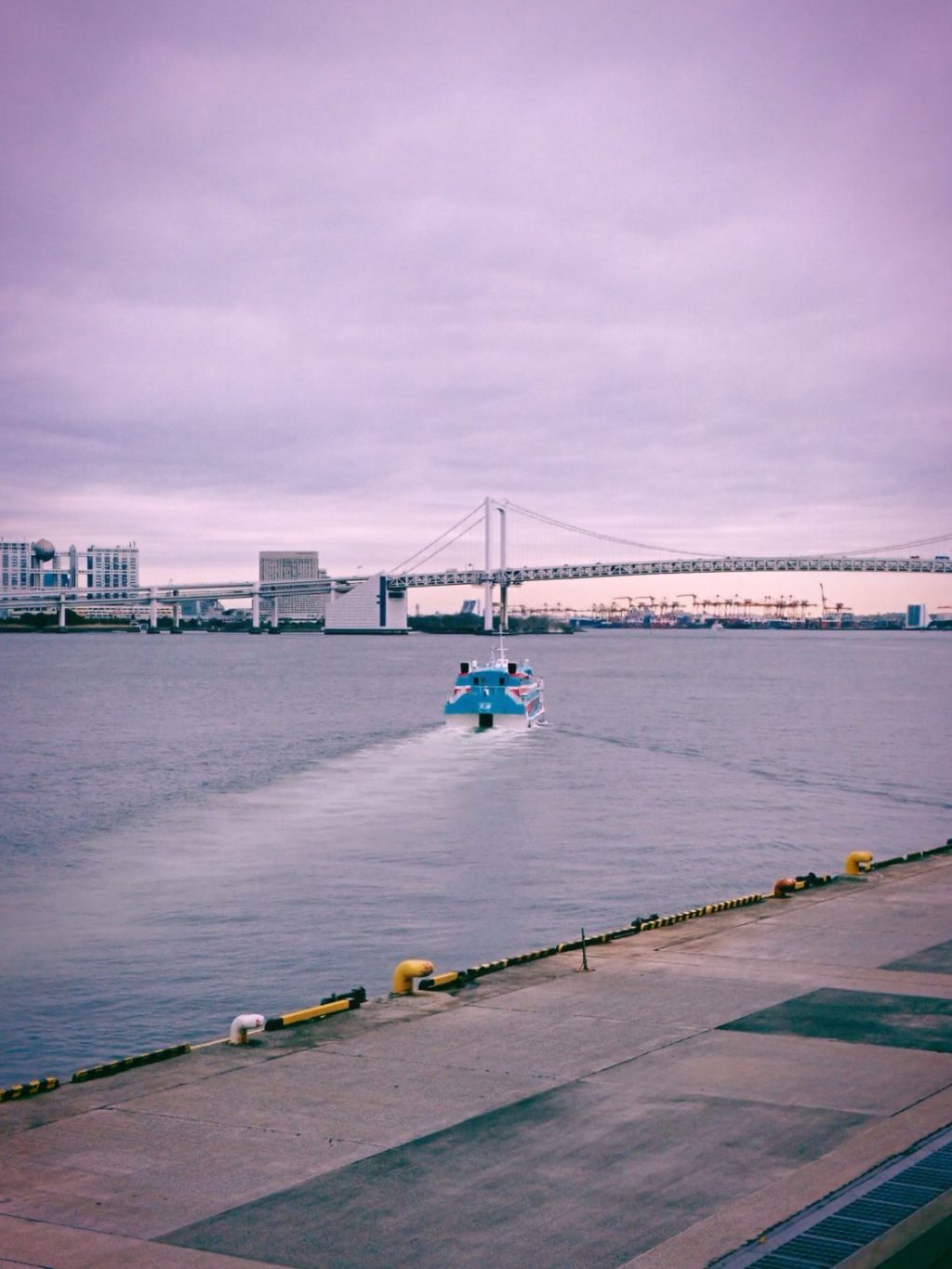 痛みに耐えて髭を剃るのは春のせいか、20250306