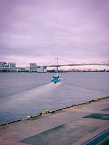 痛みに耐えて髭を剃るのは春のせいか、20250306