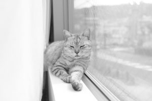 最初のひとつの質問、20240922