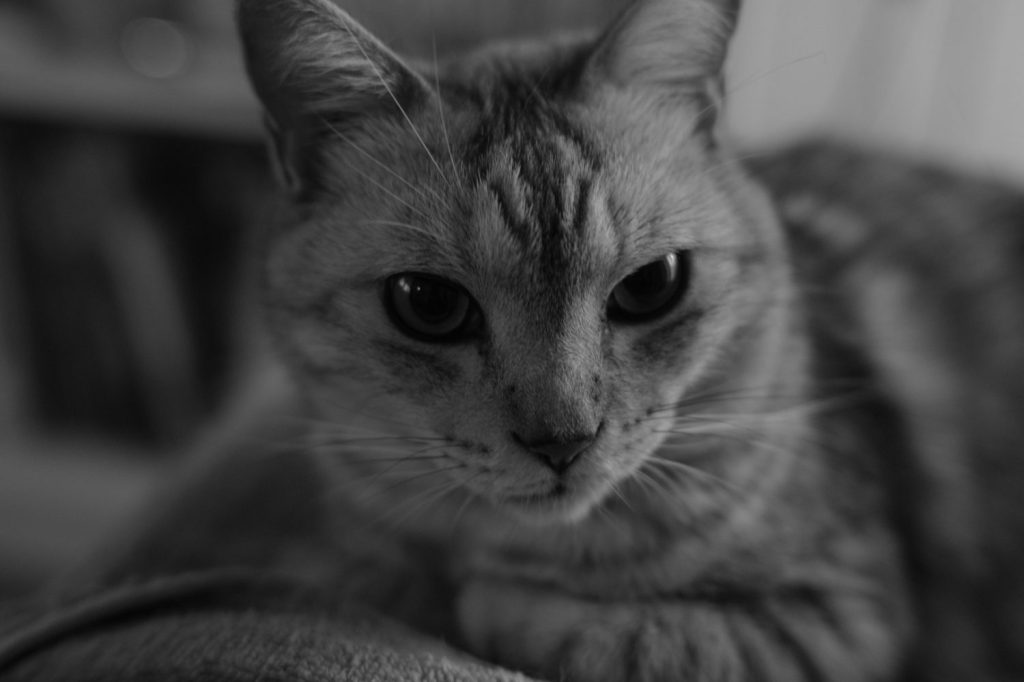 なんなんですか、いったい、20241024