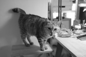 今年最初の満月も過ぎ、20250115