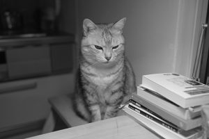 よく食べよく眠る土曜日、20250222