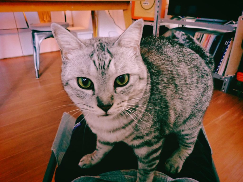 インターバル走、高梨の勝利、青木さん、20240908