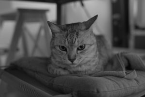 某所で社会科見学のような仕事、20241112