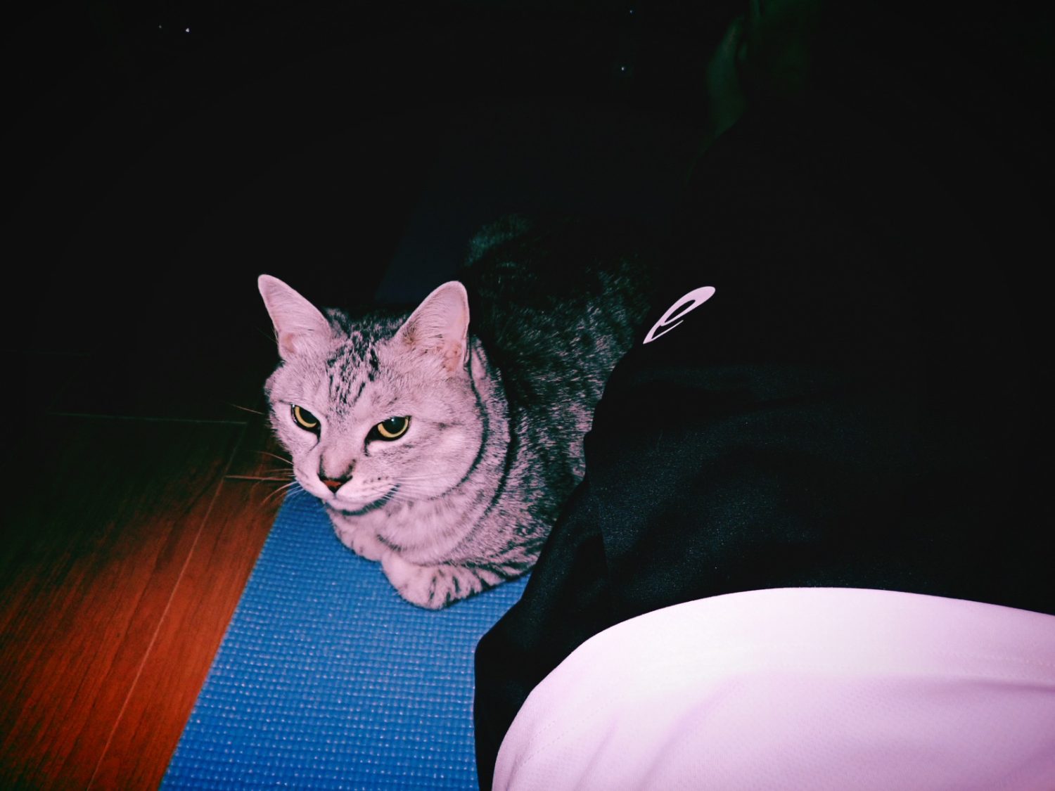 中期の太宰を読む、20250103