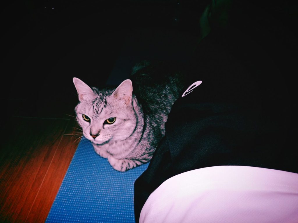 中期の太宰を読む、20250103