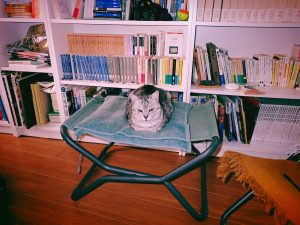 籠城終える、今年の走り方を考える、20250105