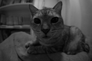 人心地がつく、20240925