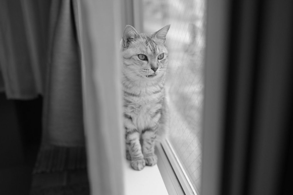 代々木公園の近くで台湾料理を食べた夜に、20241022