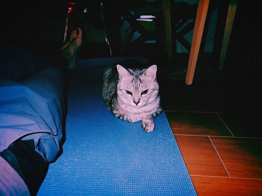 完遂したか？、20241122