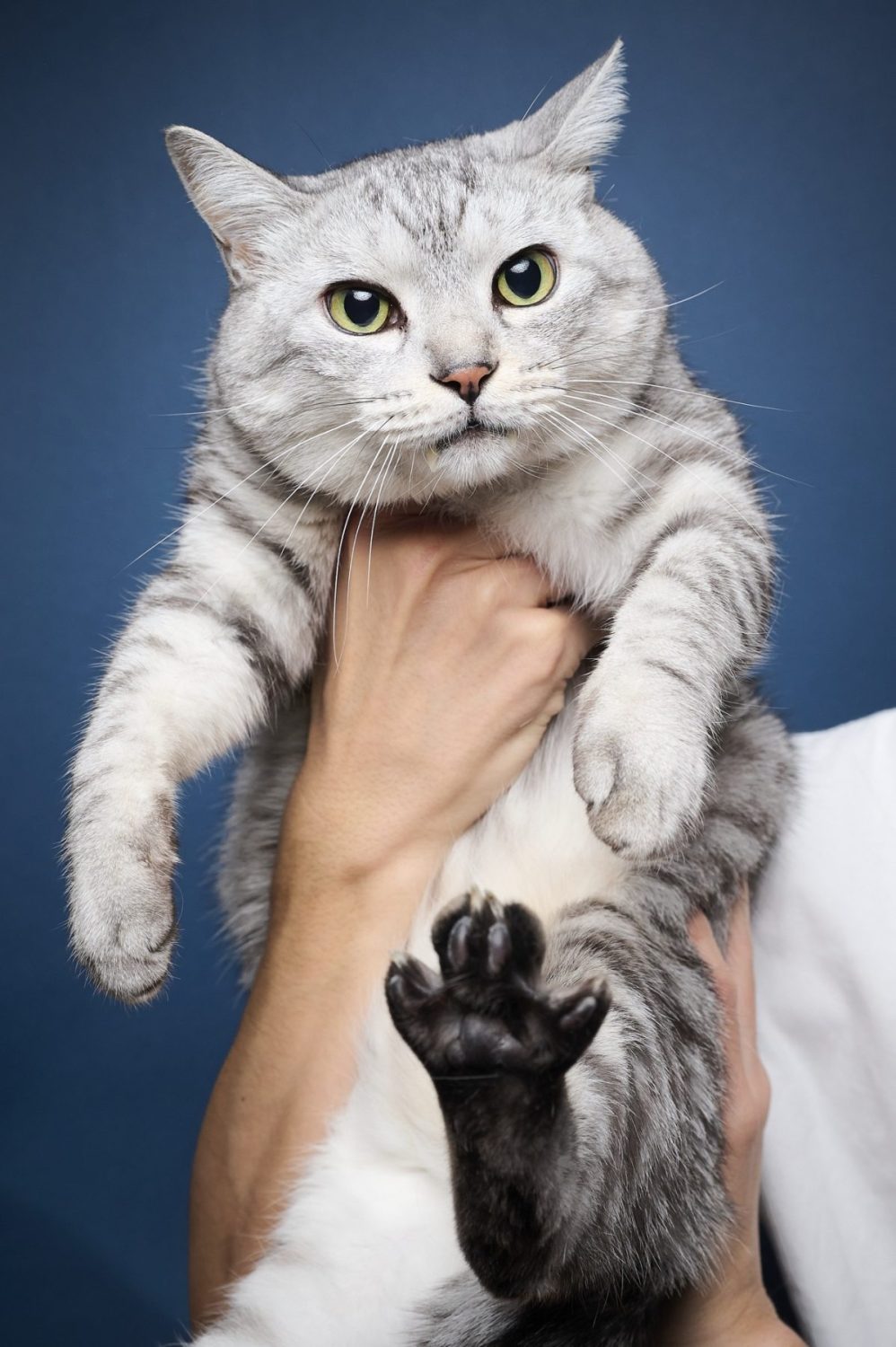 煮詰まったら走ればいい、20250129