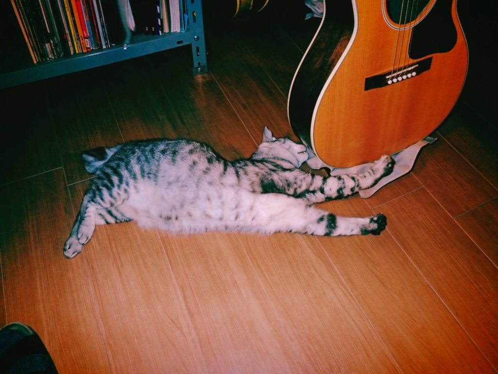 相応にブリを二切れ、20250112