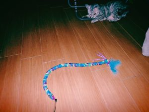 阿佐ヶ谷にて、20240923