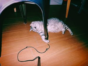 酒断ち1年経過の所感、20250128