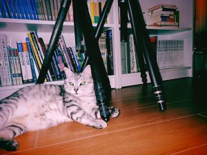 文書主義を称え合った、20250130