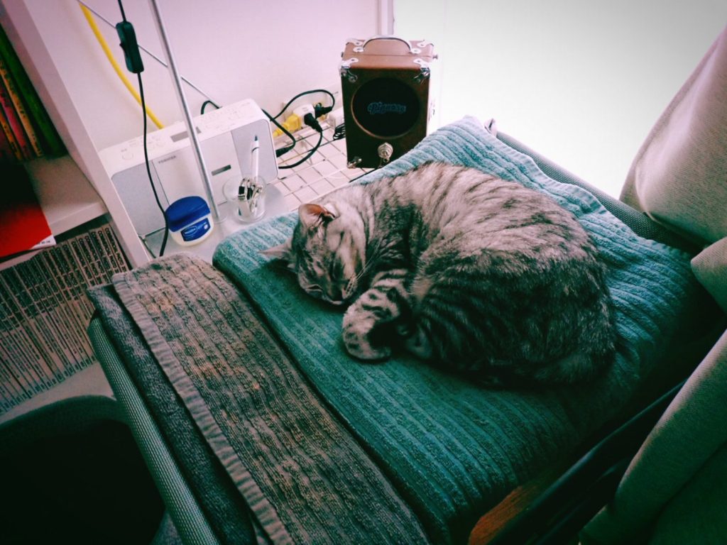 まずは身辺を整える、この秋の最初の独り言、20241008